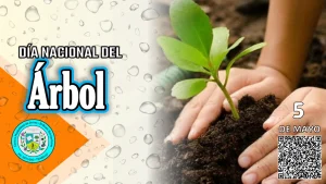 05portadaarbol